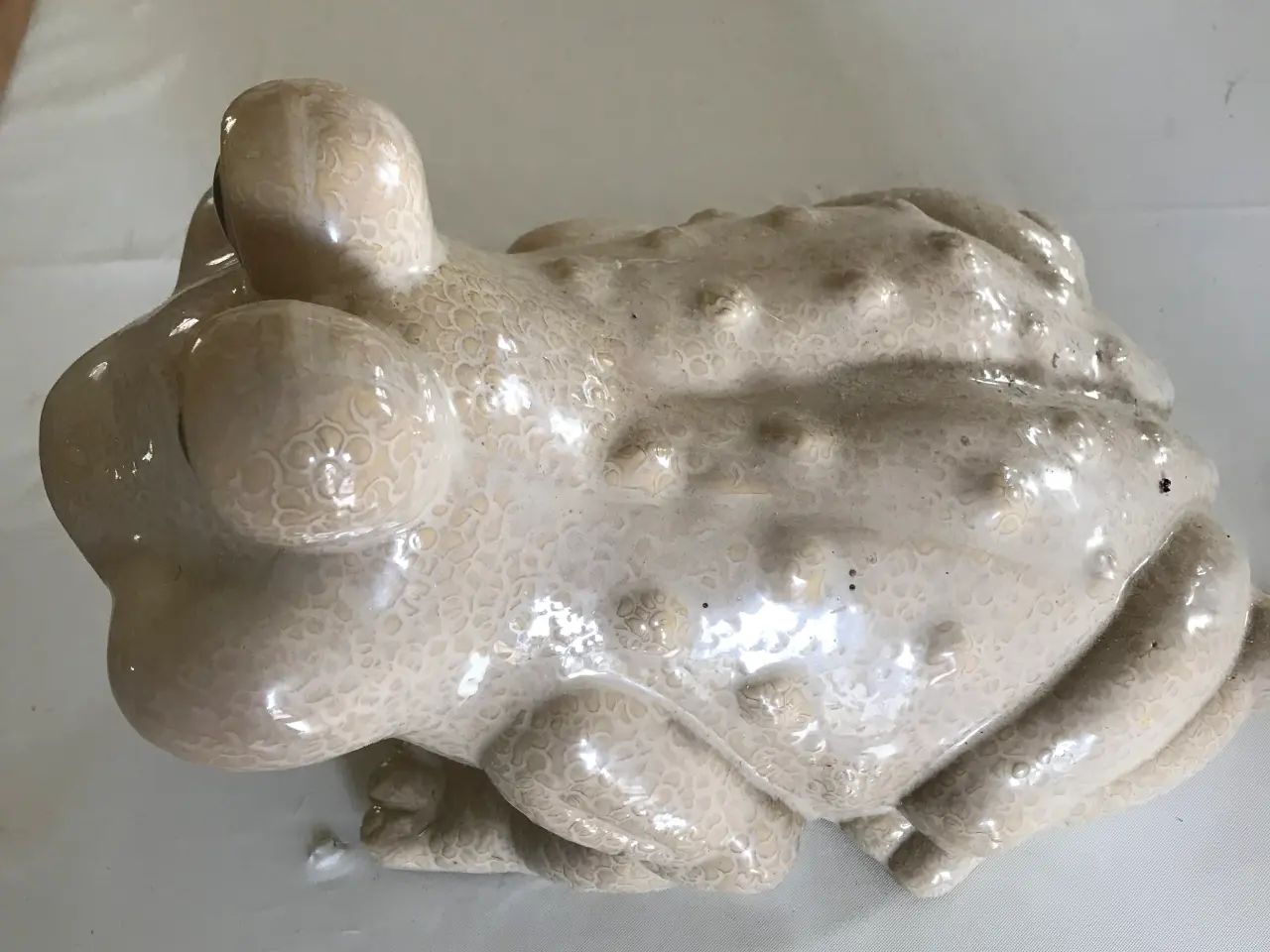 Billede 3 - Frø og skildpadde