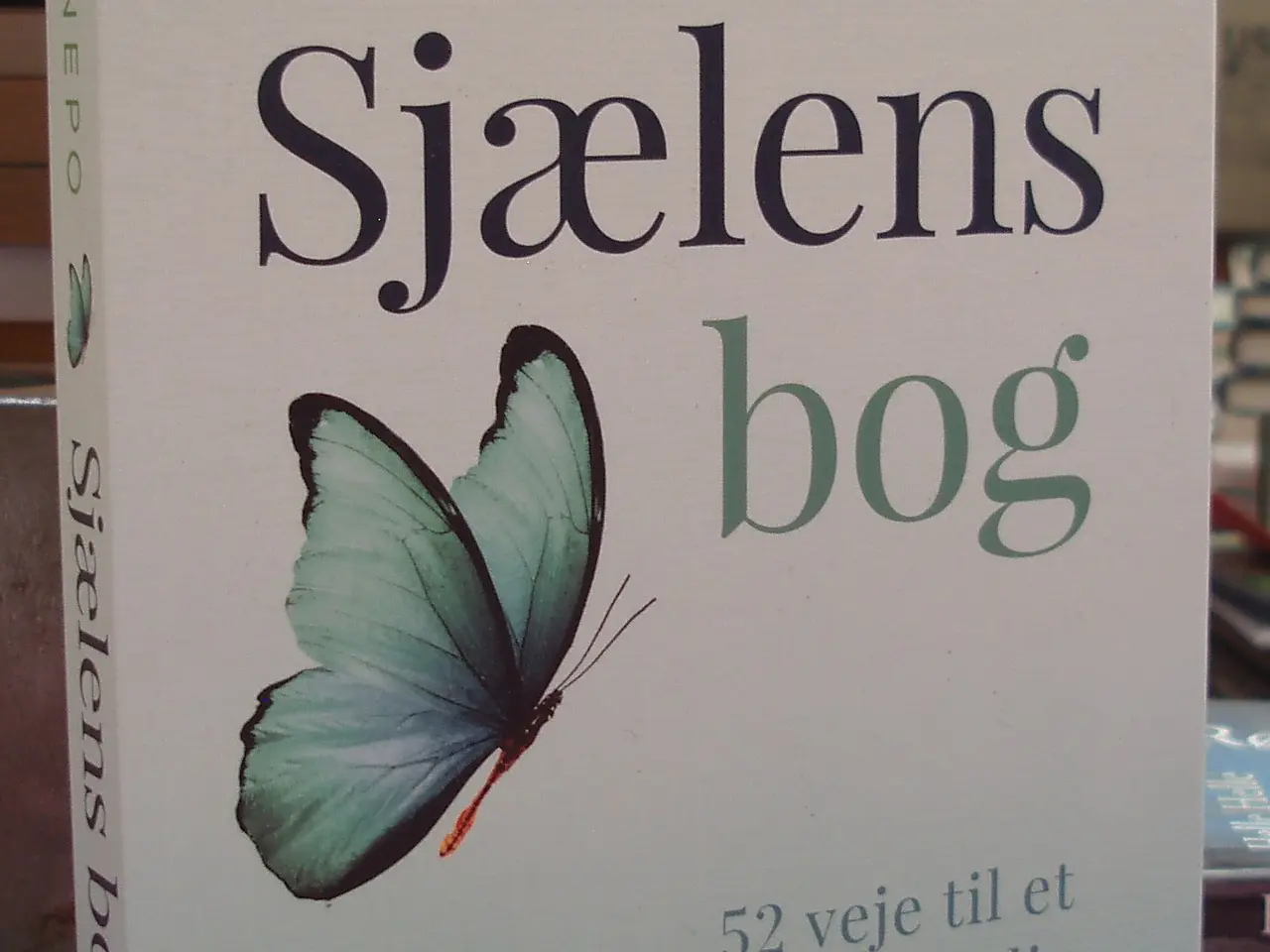 Billede 1 - Sjælens bog af Mark Nepo