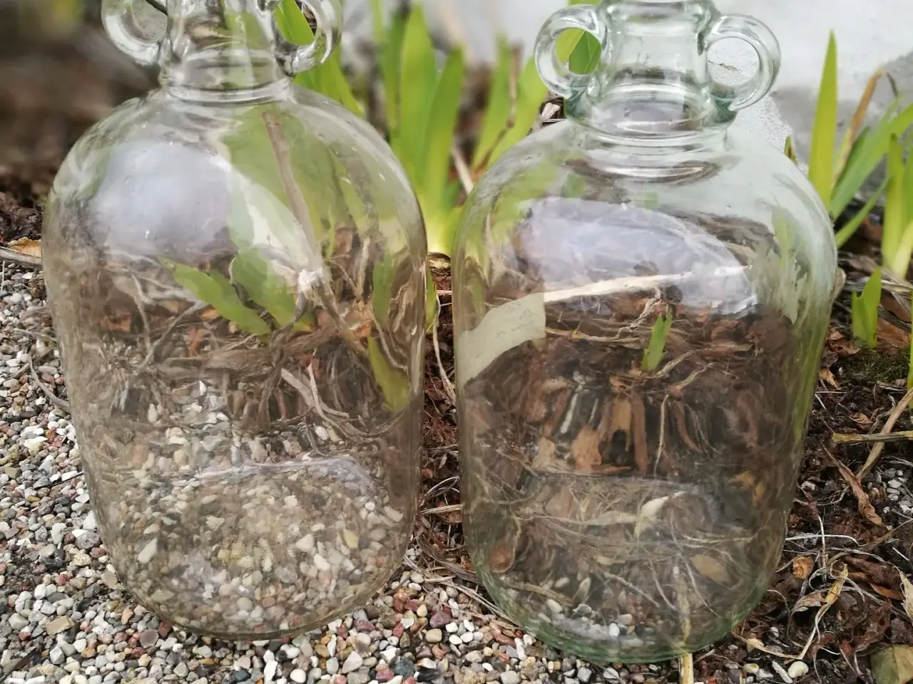 Billede 1 - Glasbeholdere