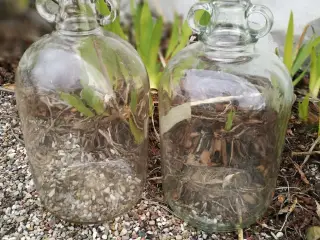 Glasbeholdere