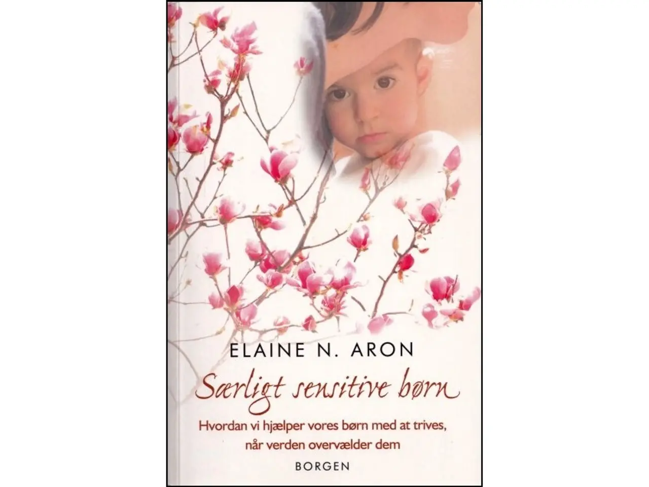 Billede 1 - Særligt sensitive børn