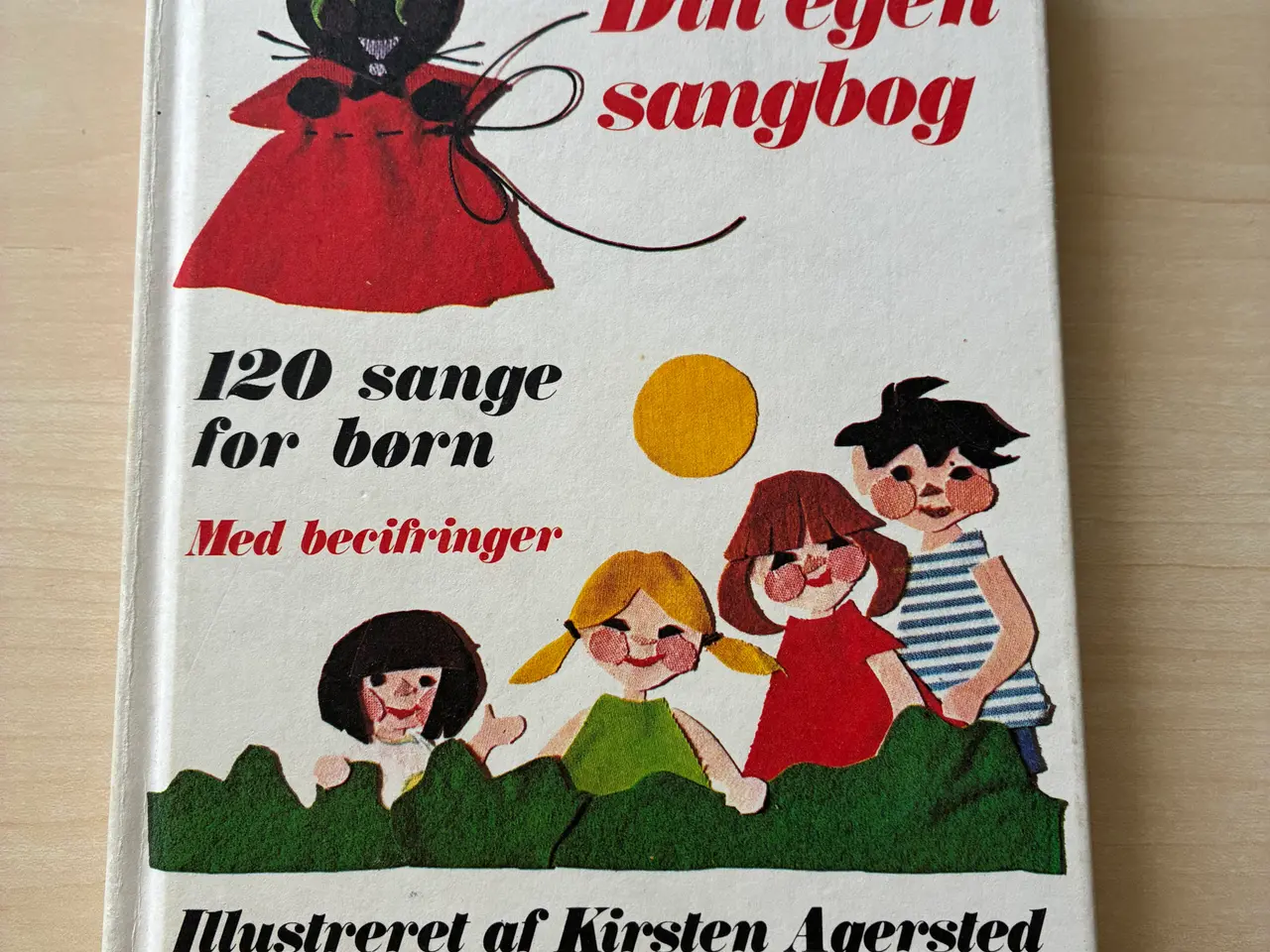 Billede 1 - Bog: Din egen sangbog