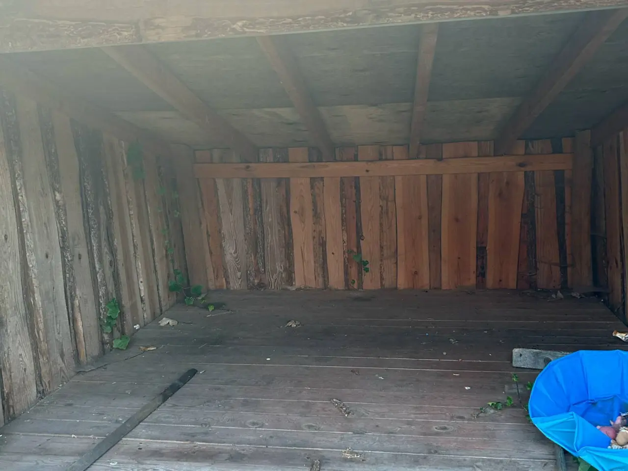 Billede 1 - Shelter