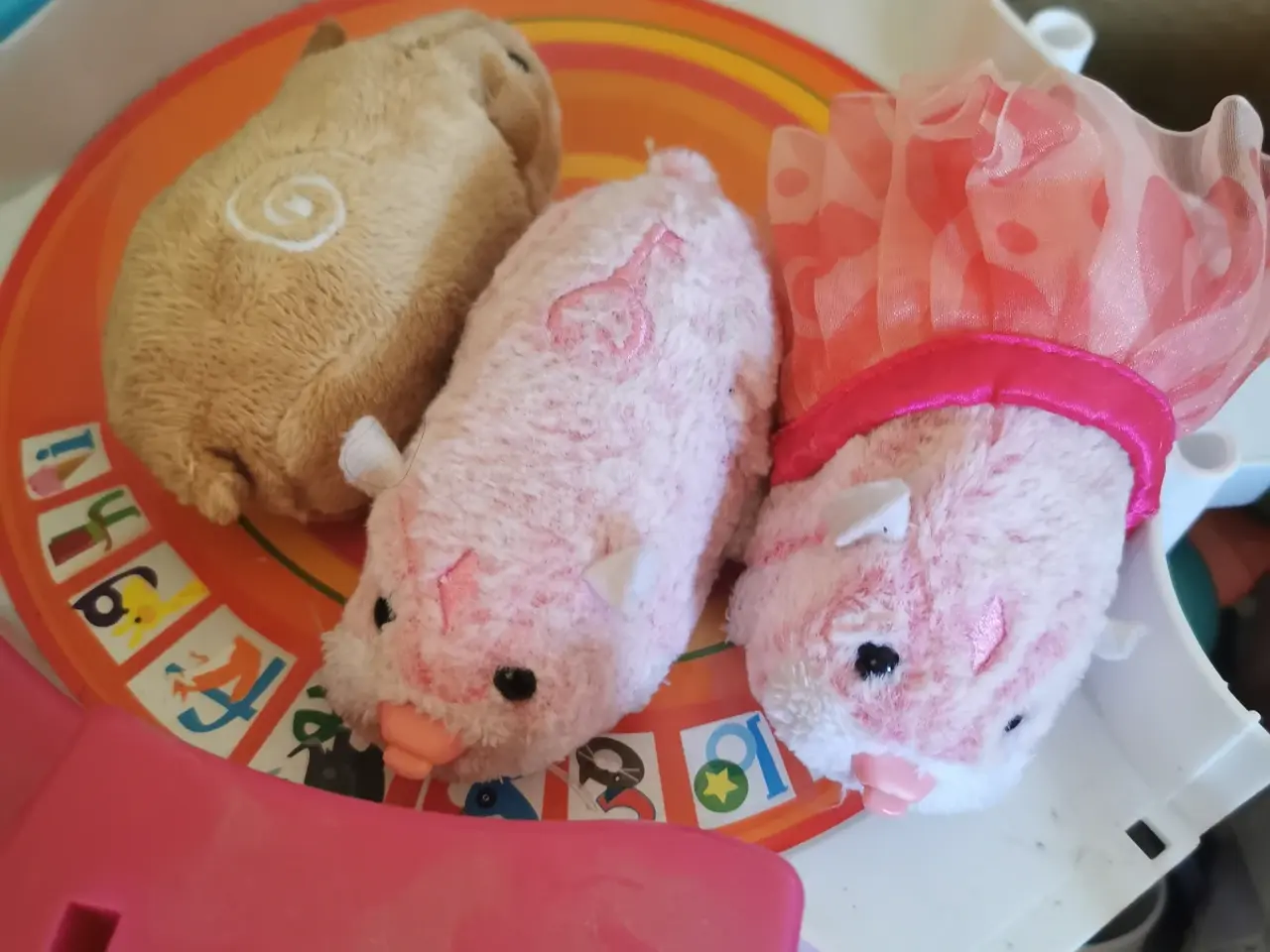 Billede 2 - Hamster med diverse tilbehør