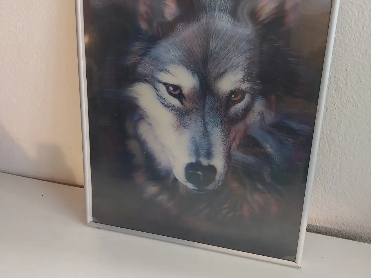 Billede 4 - Billede af Ulv. Billede med 3D effekt.