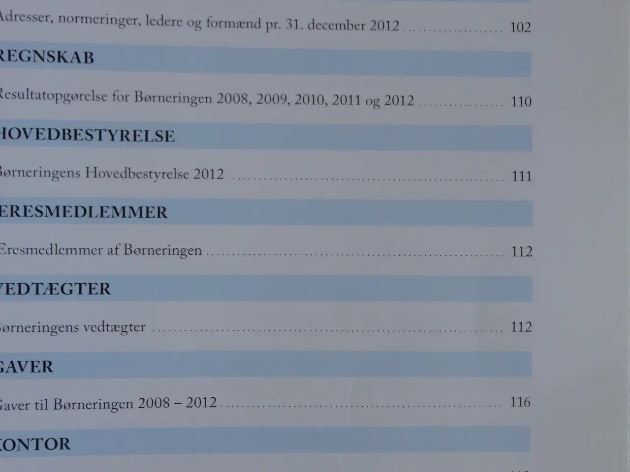 Billede 3 - Børneringen  :