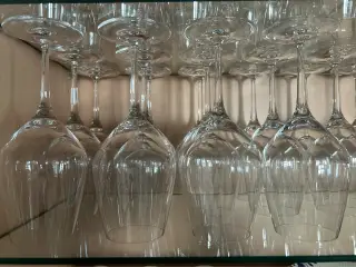 Spigelau Authensis rødvinsglas. 48cl, højde 21,8cm