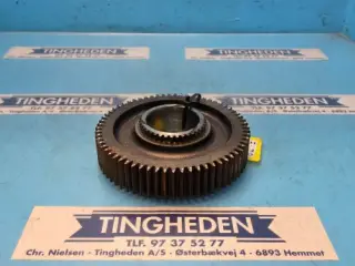 Ford 8340 Tandhjul F1NN7146AB