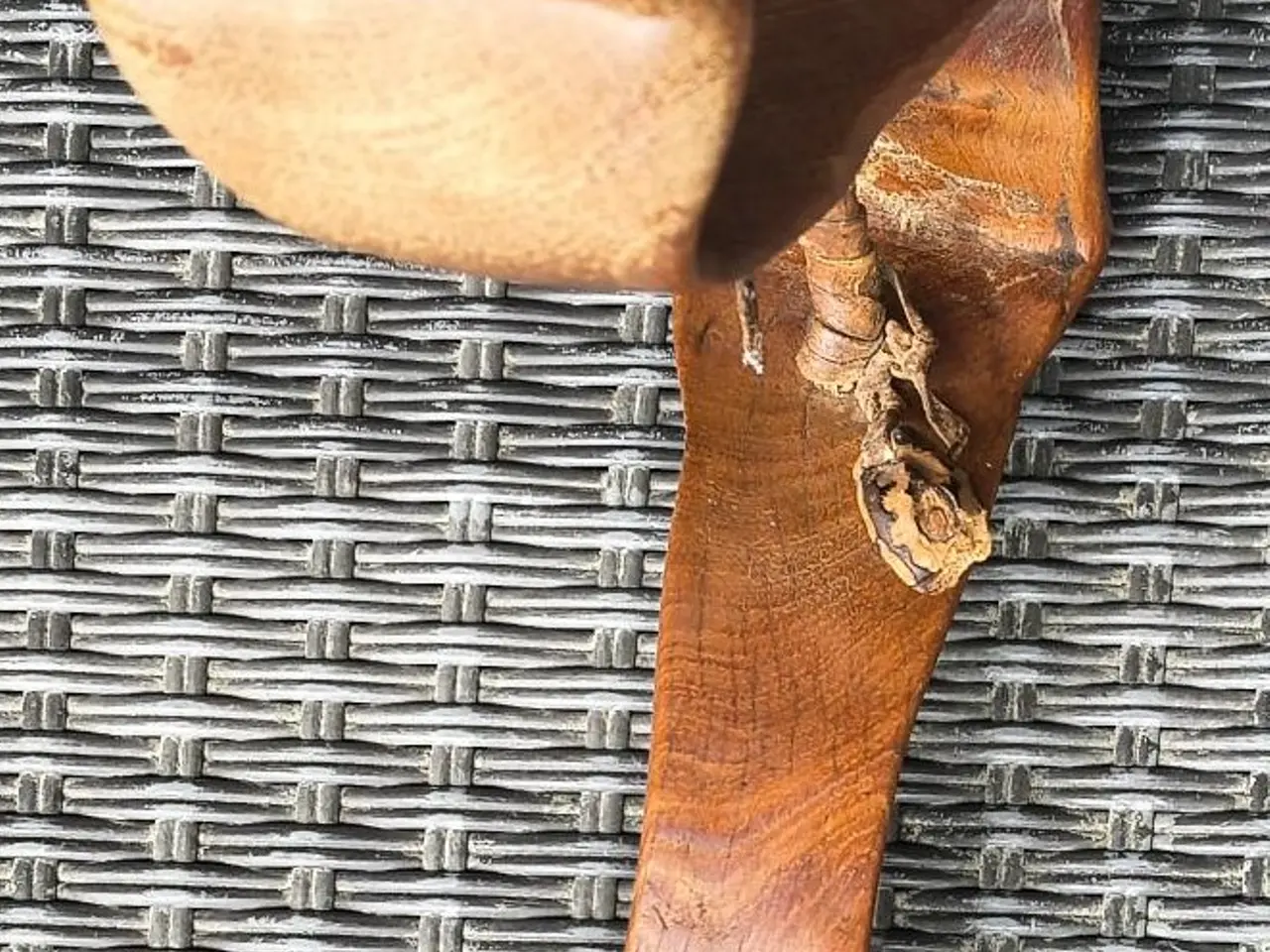 Billede 4 - NYANGATOM "OMO DALEN" ETIOPIEN HOVEDPUDE, 28,5 CM