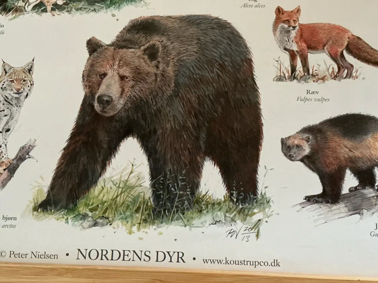 Billede 2 - Væg ophæng Nordens dyr