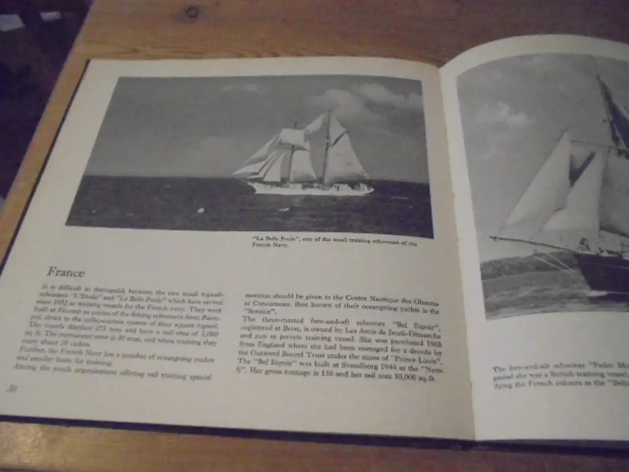 Billede 2 - Training Wessels under Sail sejlførende skoleskibe
