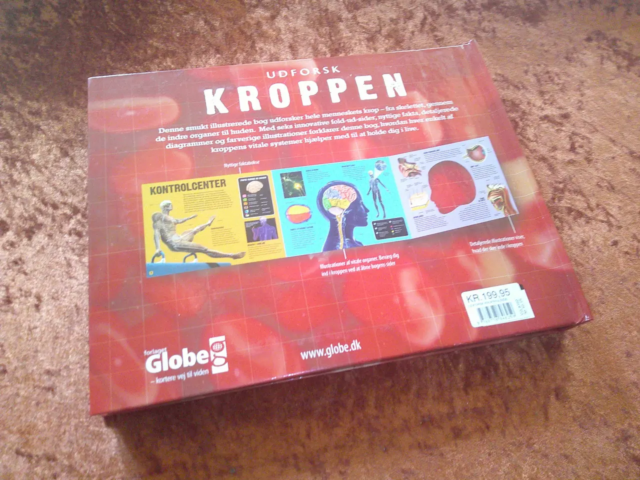 Billede 4 - Udforsk kroppen, Barbara Taylor