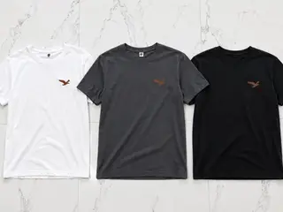 3 T-shirt