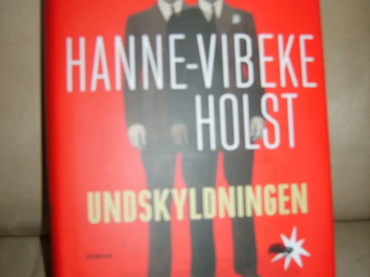 Billede 1 - Hanne-Vibeke Holst. UNDSKYLDNINGEN.