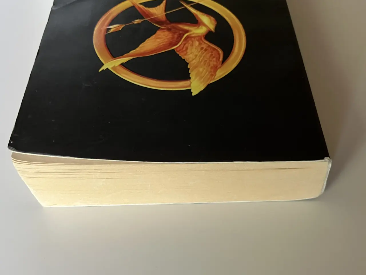 Billede 6 - The Hunger Games (English). Af Suzanne Collins