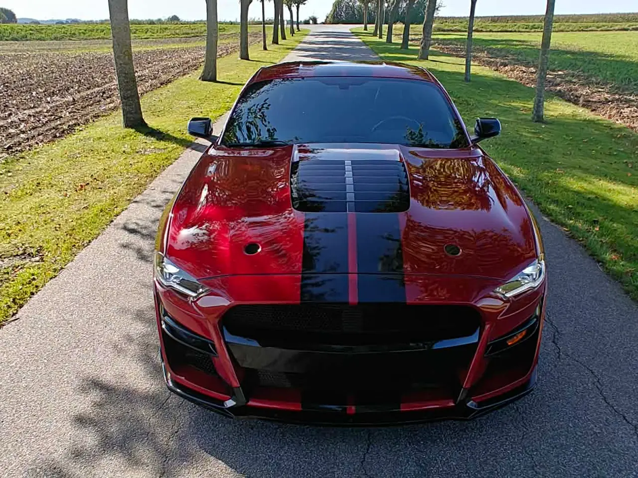 Billede 2 - Ford Mustang GT V8