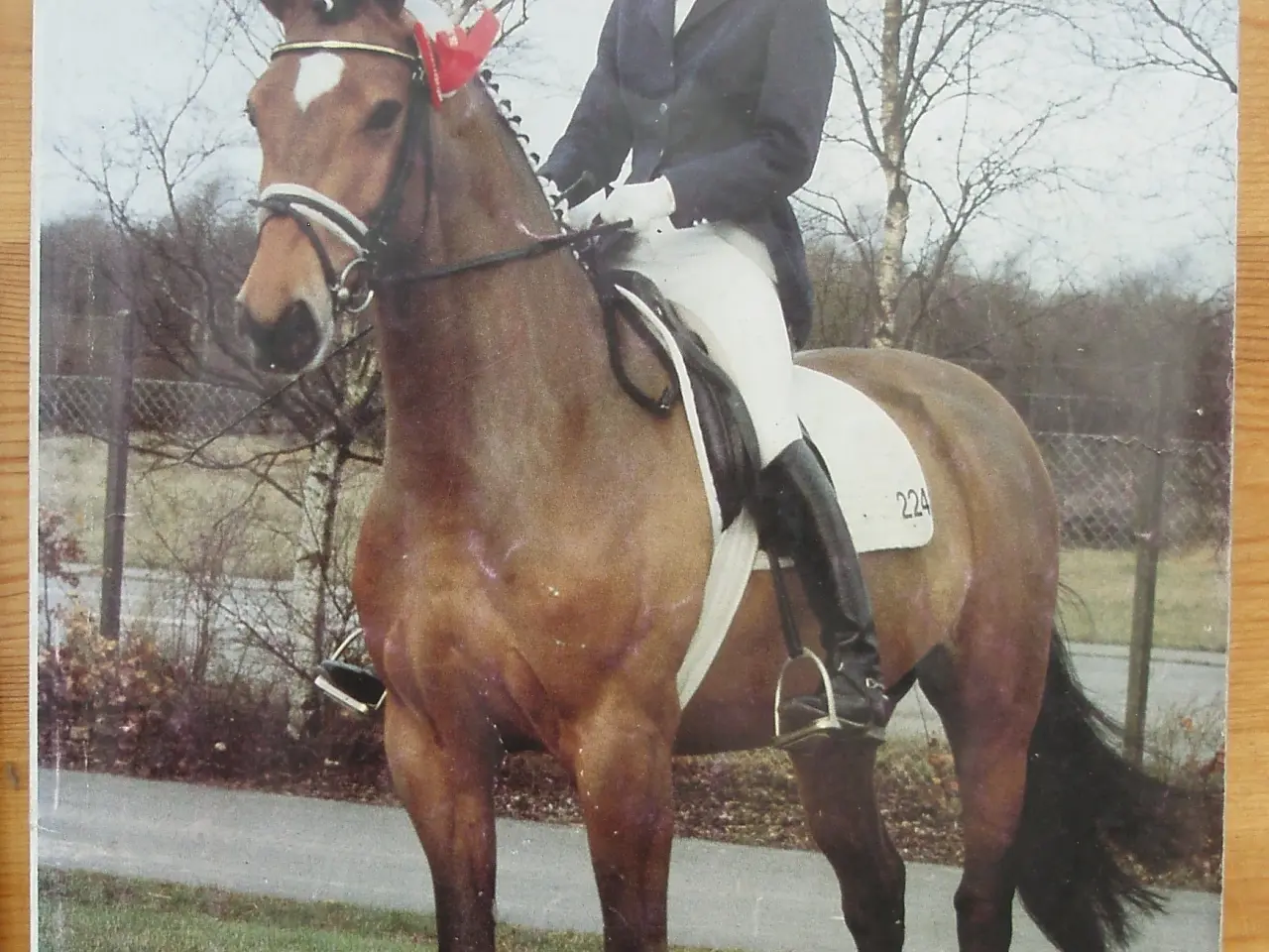 Billede 1 - Hippologisk Tidsskrift 1992 nr.4