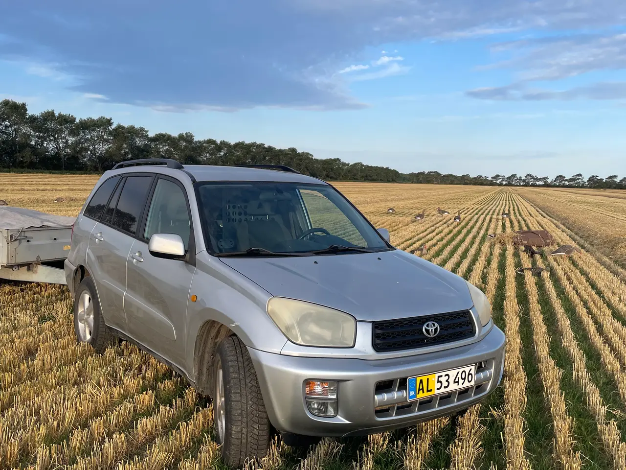 Billede 3 - Rav4