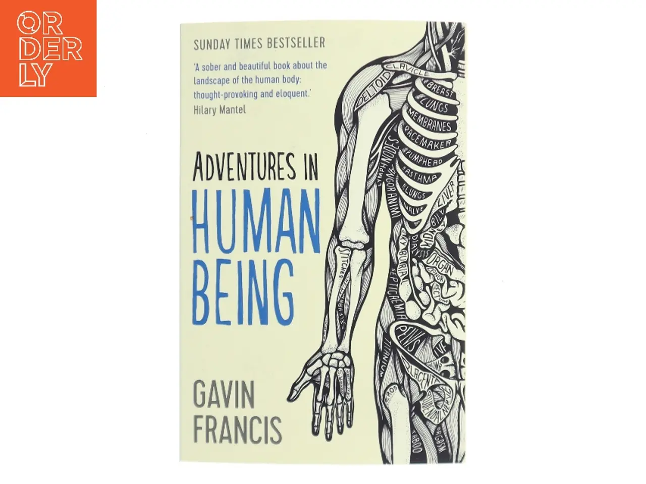 Billede 1 - Adventures in Human Being af Gavin Francis (Bog)