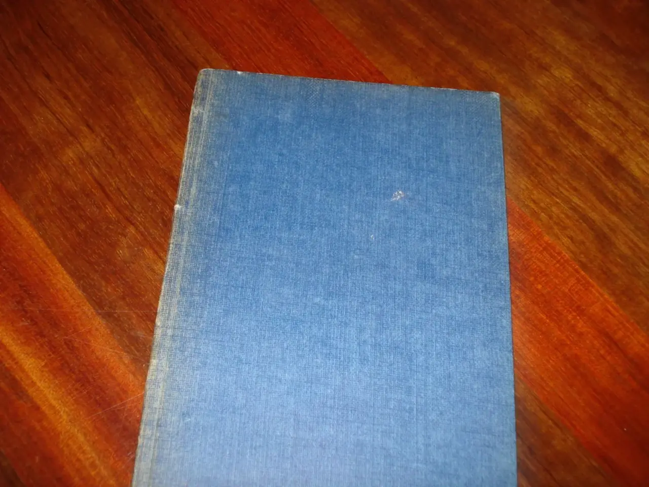 Billede 1 - Leo Wad
