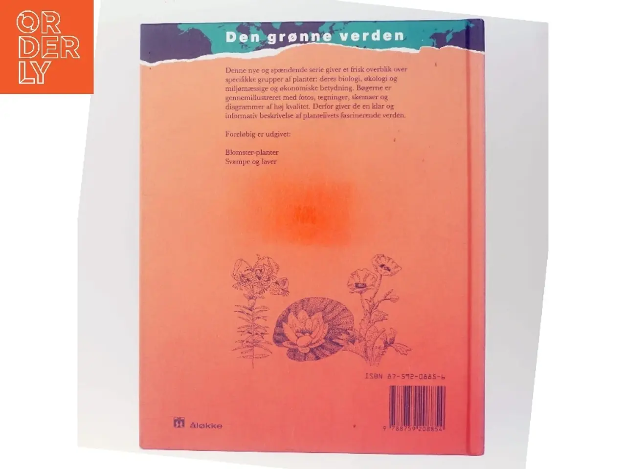 Billede 3 - Blomster-planter af Wendy Madgwick (Bog)