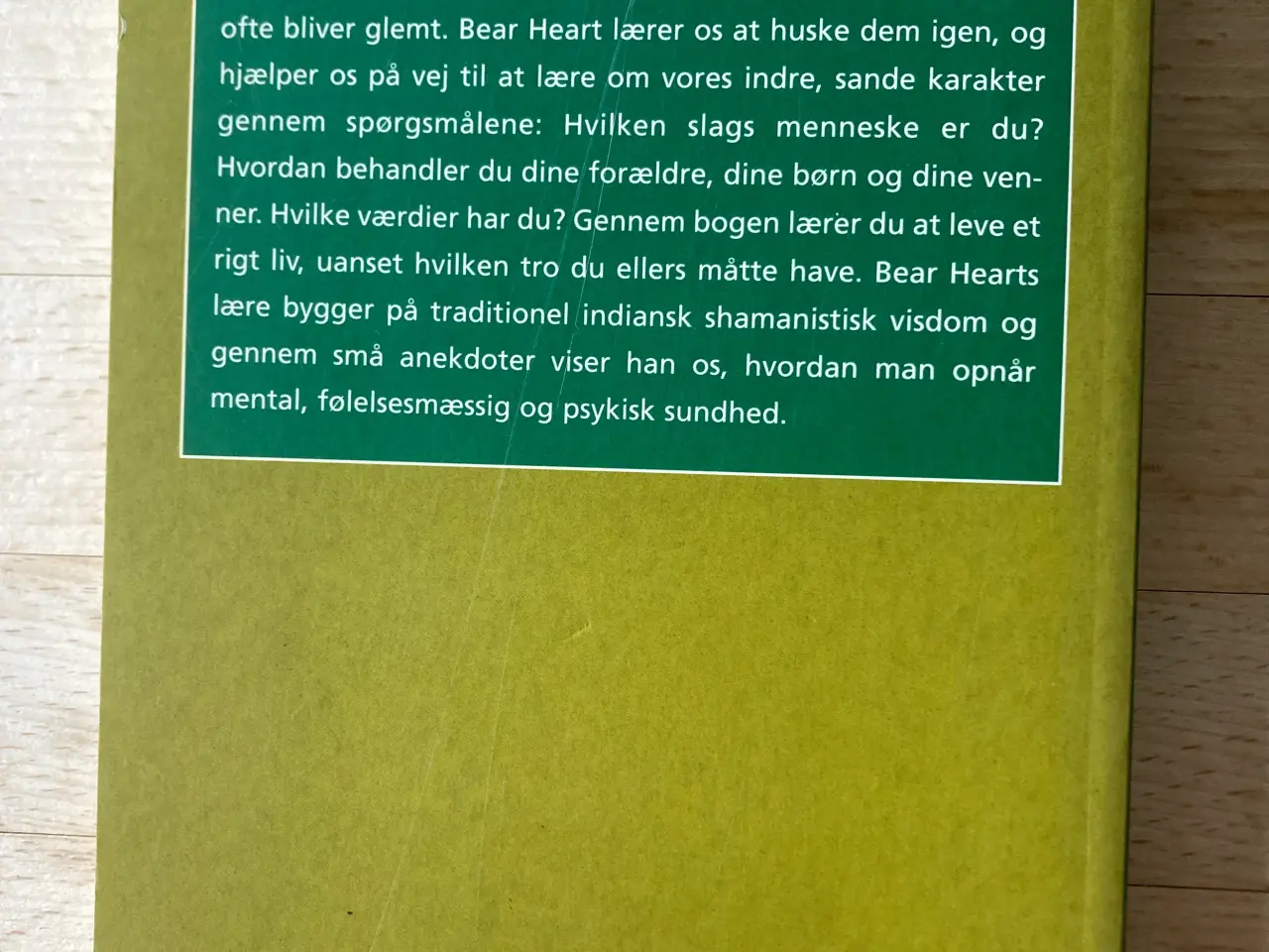 Billede 2 - Vinden er min moder, Bear Heart
