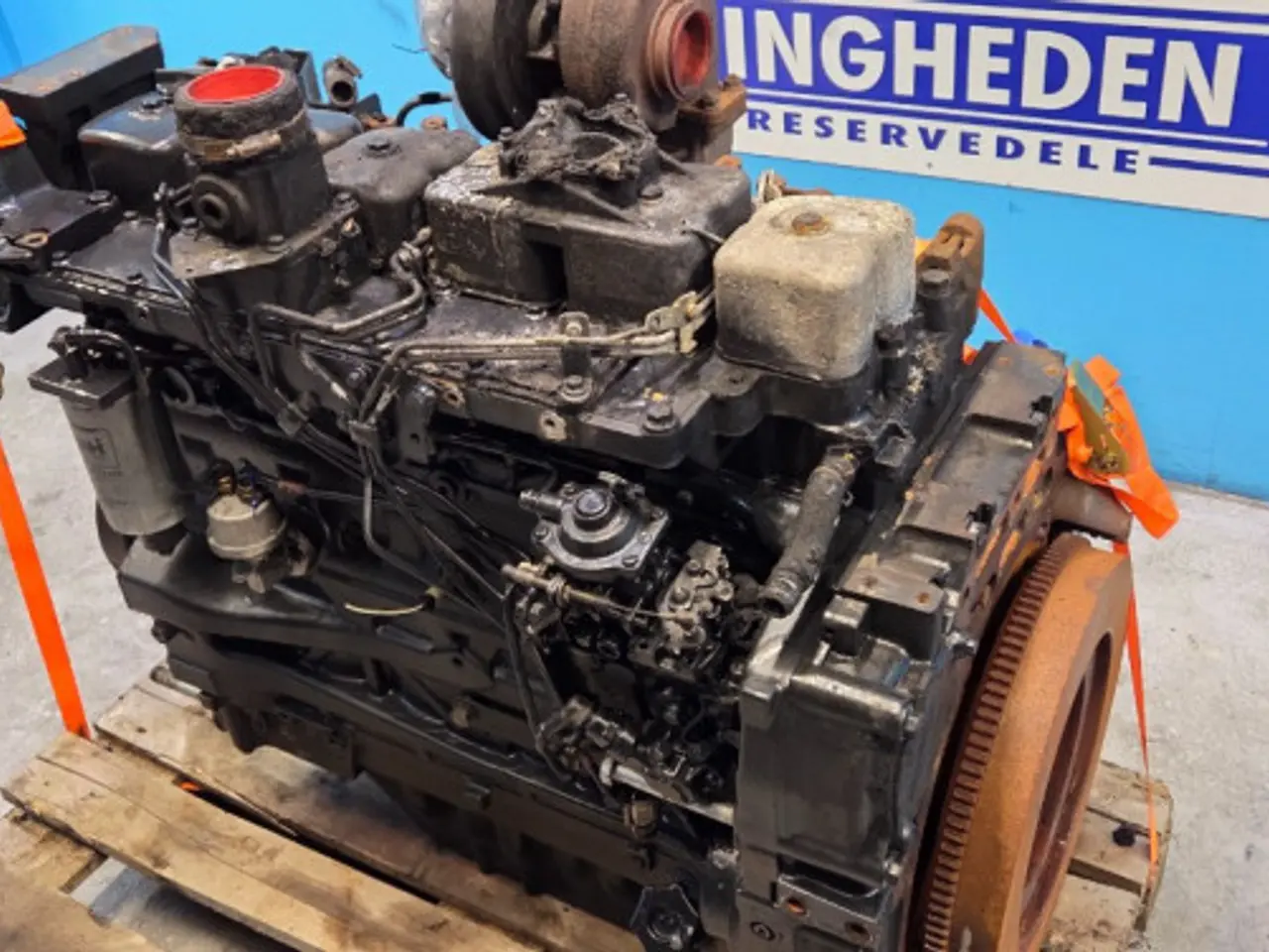 Billede 17 - Iveco 6 FPT Motor 87318899