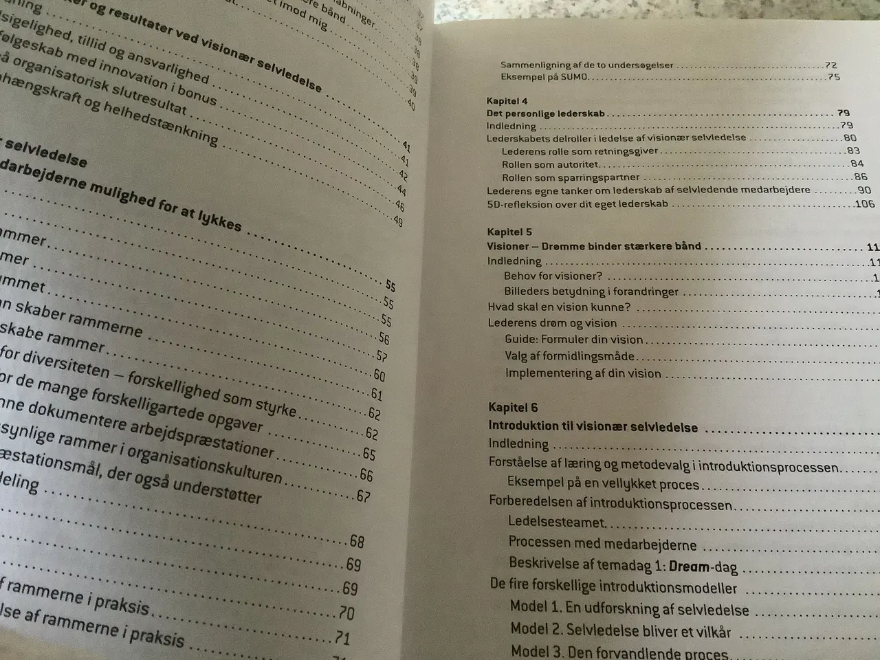 Billede 3 - Helt ny “Ledelse af selvledelse” Sanina Kurstein