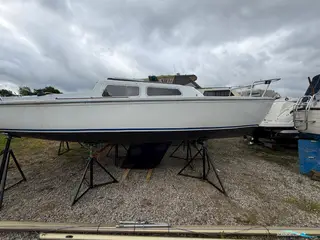 Jaguar 22