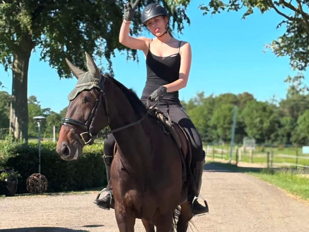 Billede 1 - Super allround hest