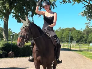Super allround hest