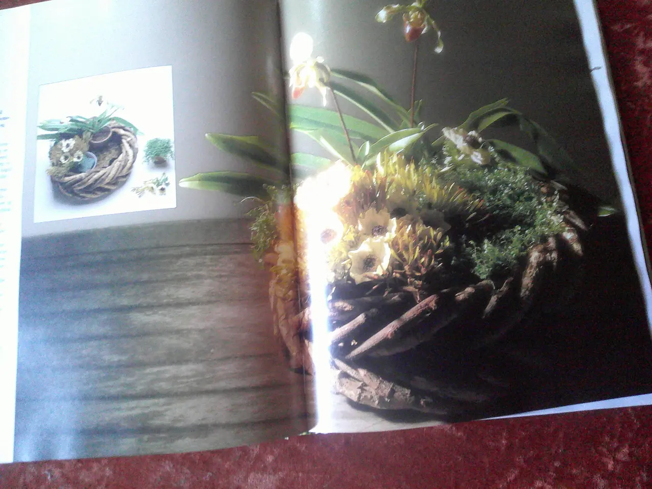 Billede 3 - Blomster arrangementer og buketter, Malcolm Hillie