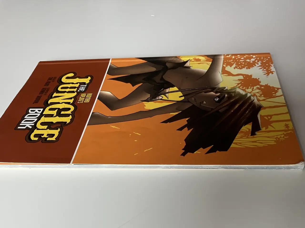 Billede 5 - The Jungle Book (Graphic Revolve) (English)