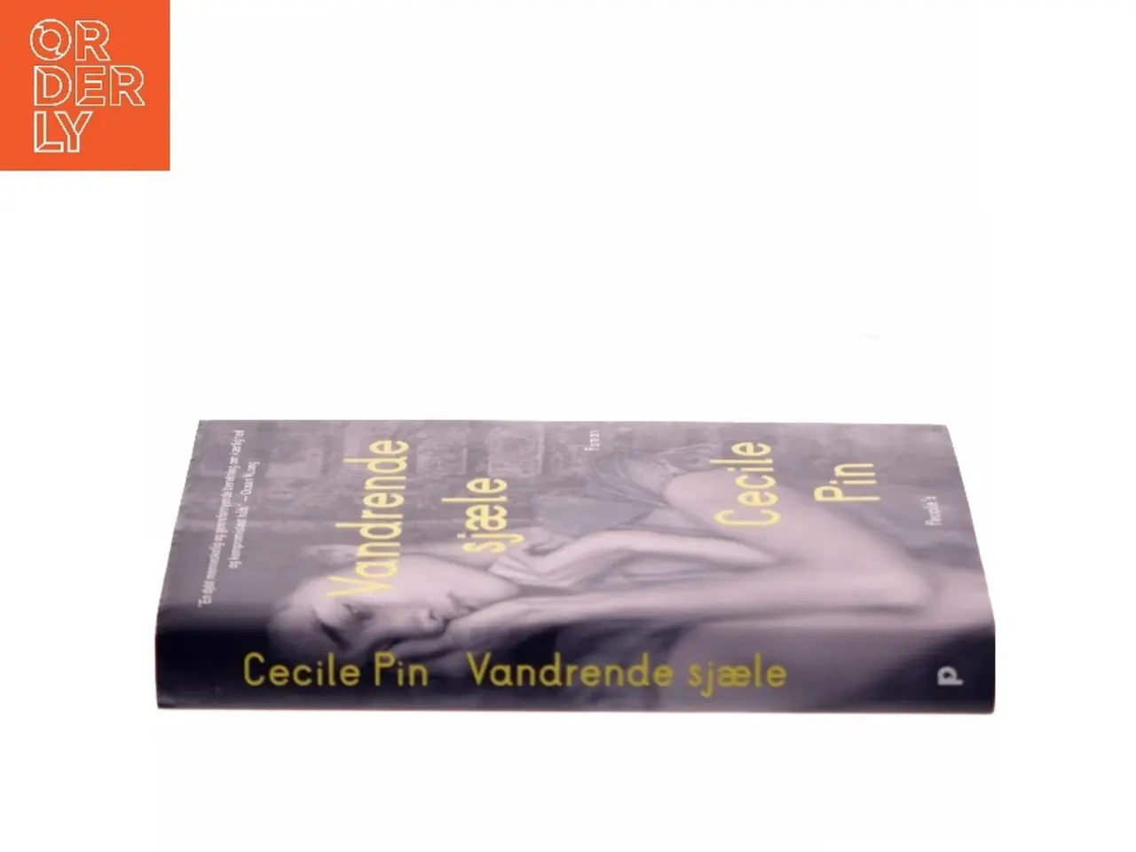 Billede 2 - Vandrende sjæle : roman af Cecile Pin (Bog)