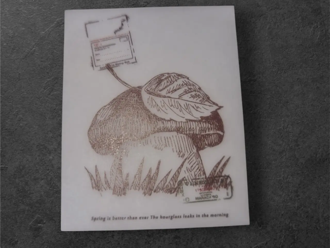 Billede 1 - Poetiske papirark med smuk svampeillustration