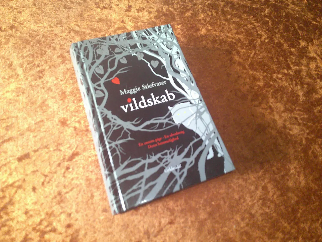 Billede 1 - Vildskab, Maggie Stiefvater
