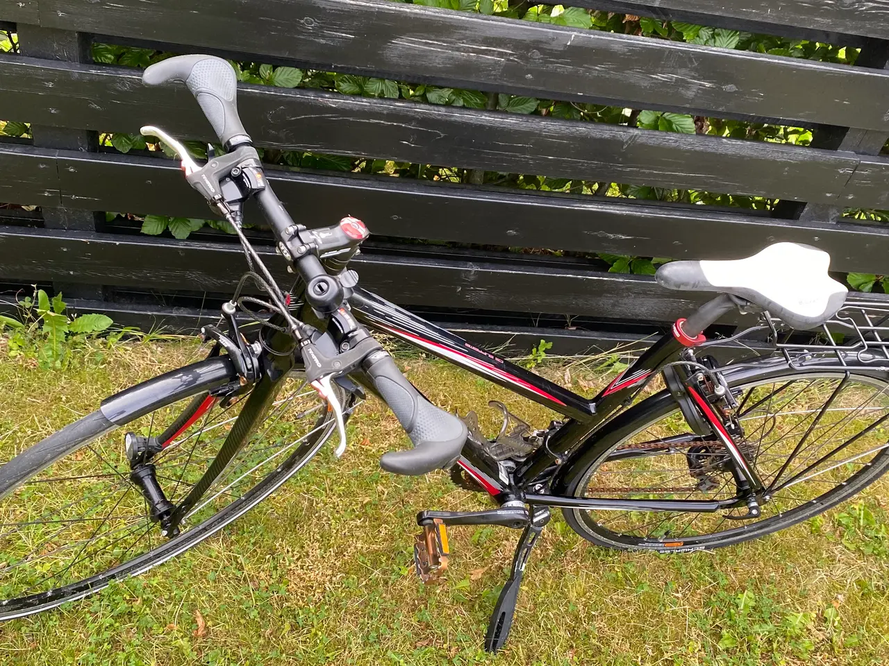 Billede 2 - Batavus CS Supreme damecykel
