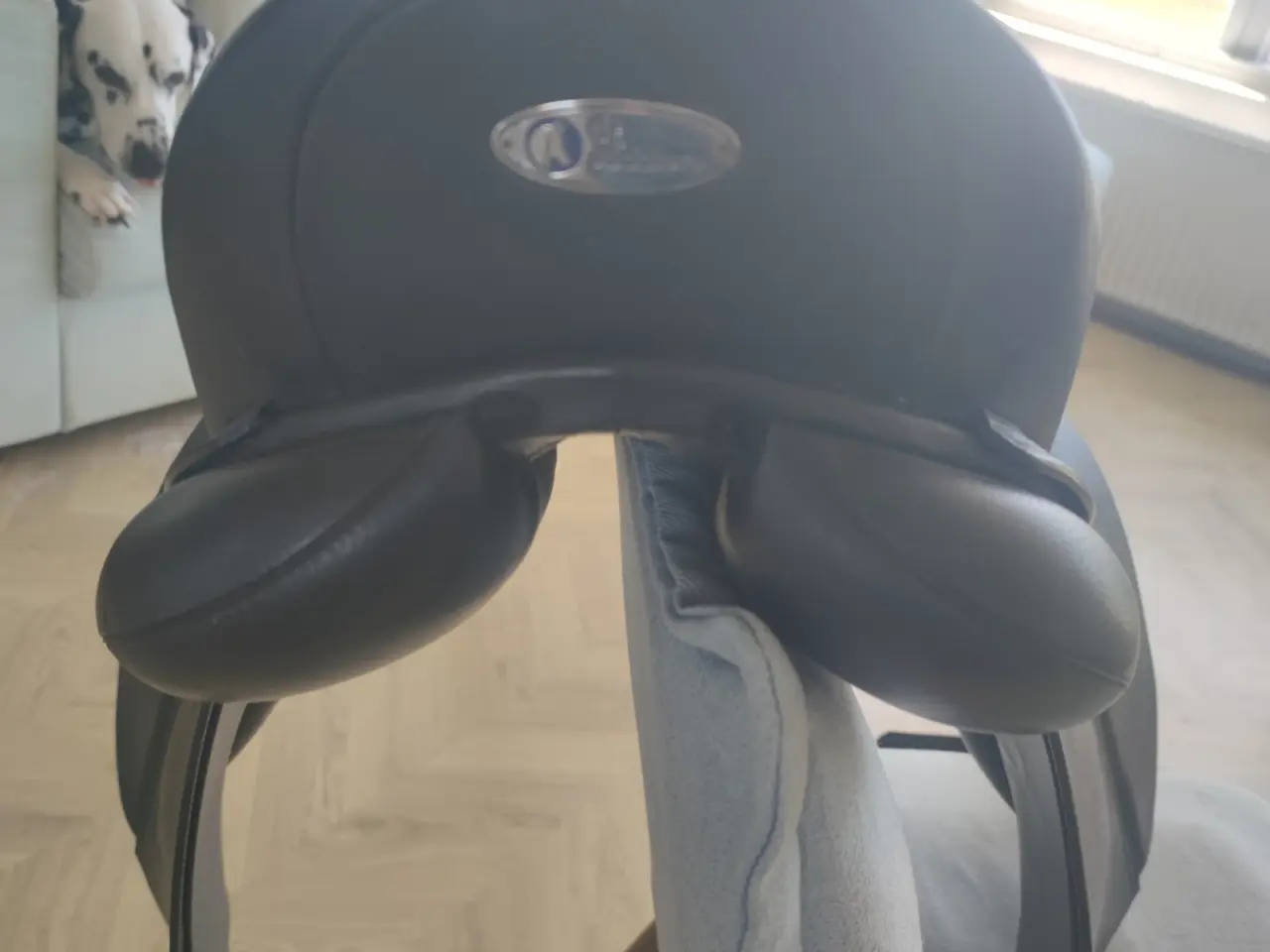 Billede 4 - DT Dressage 17"