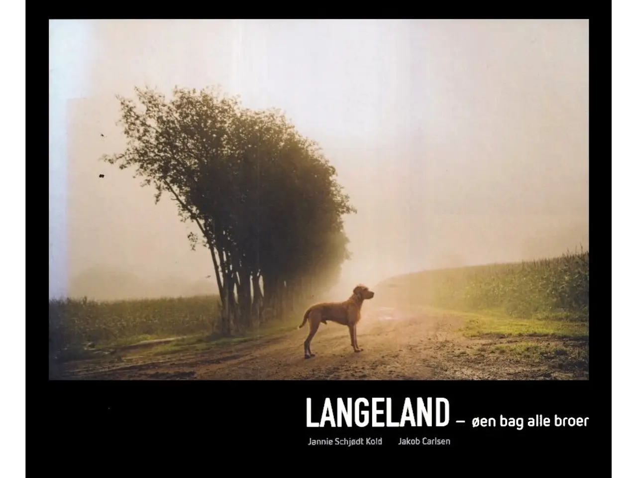 Billede 1 - Langeland - øen bag alle broer