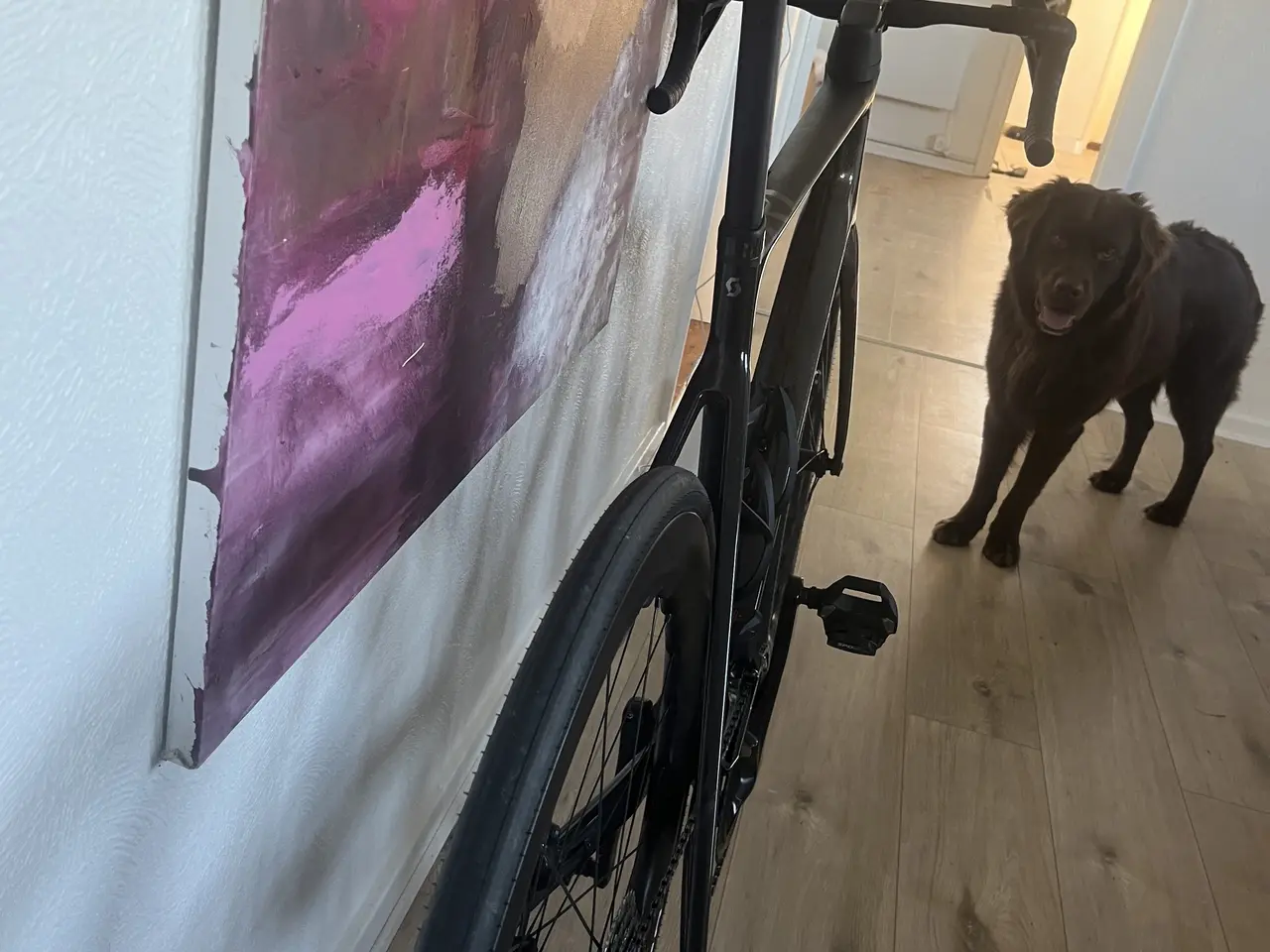 Billede 4 - Scott Addict RC 40 str. 58