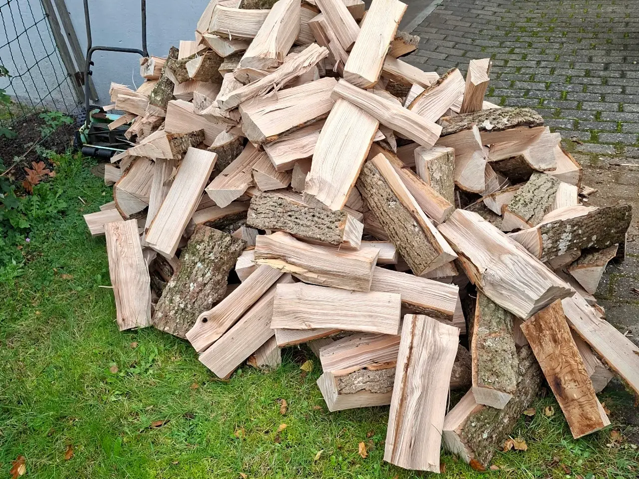 Billede 1 - Asketræ savet I 40 cm.