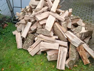 Asketræ savet I 40 cm.