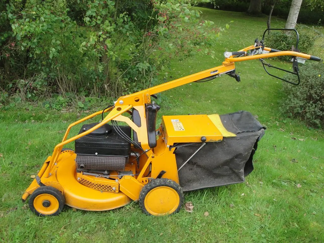 Billede 2 - AS MOTOR AS 530 2T MK