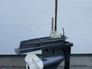 Yamaha F100LB