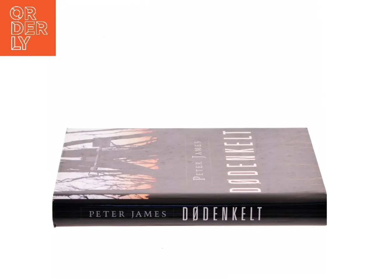 Billede 2 - Dødenkelt af Peter James (f. 1948) (Bog)