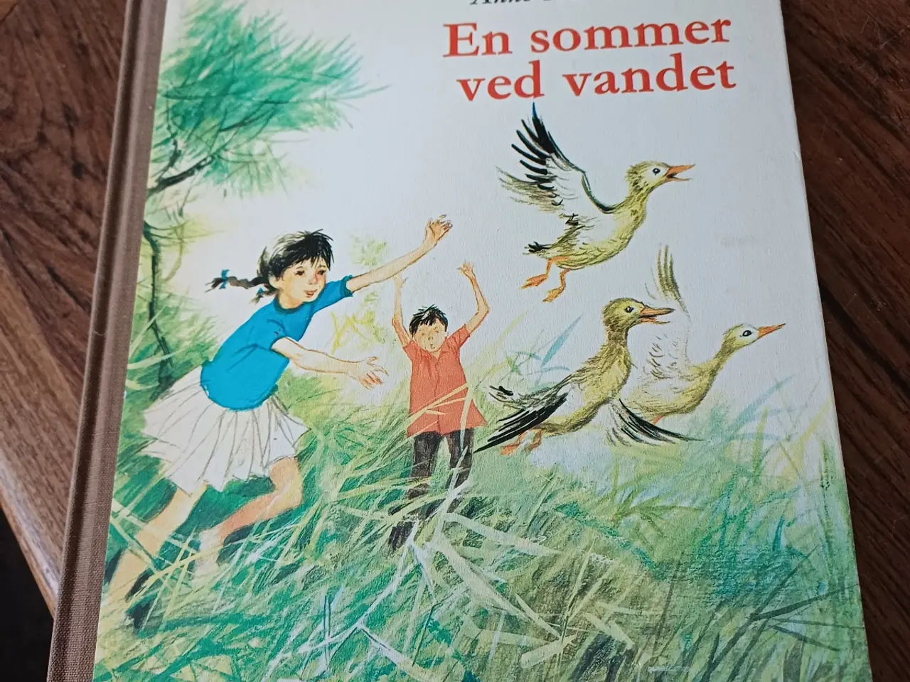 Billede 1 - En sommer ved vandet