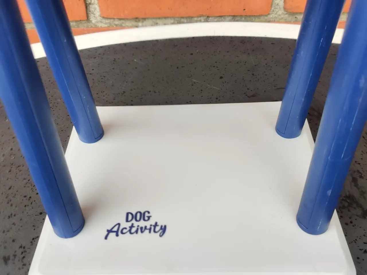 Billede 3 - DOG Activity
