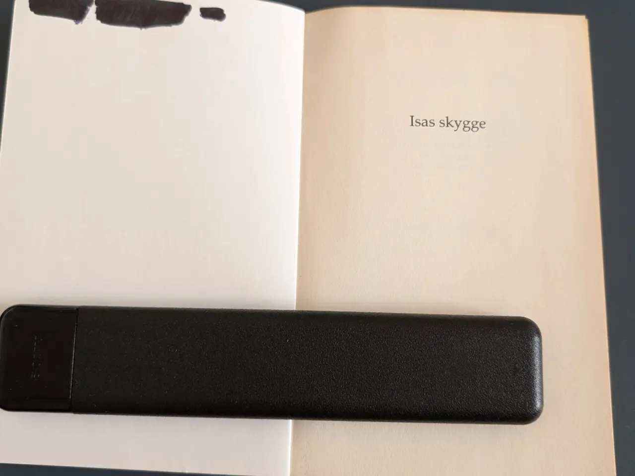 Billede 2 - Ilse M. Haugaard Isas skygge