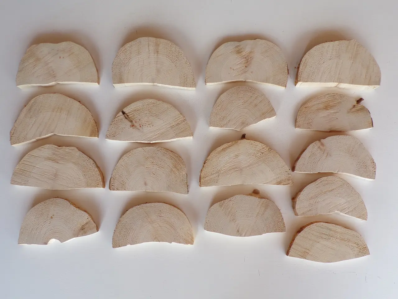 Billede 1 - 17 NYE halve Thuja Træskiver uden bark 13,5-18 cm