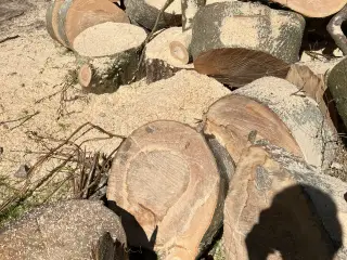 Brænde